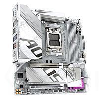 259961-2